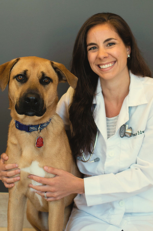 Dr. Rebecca Edwards